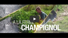 La ferme Champignol : une agriculture biologique, sans pertes, avec plus de profit !